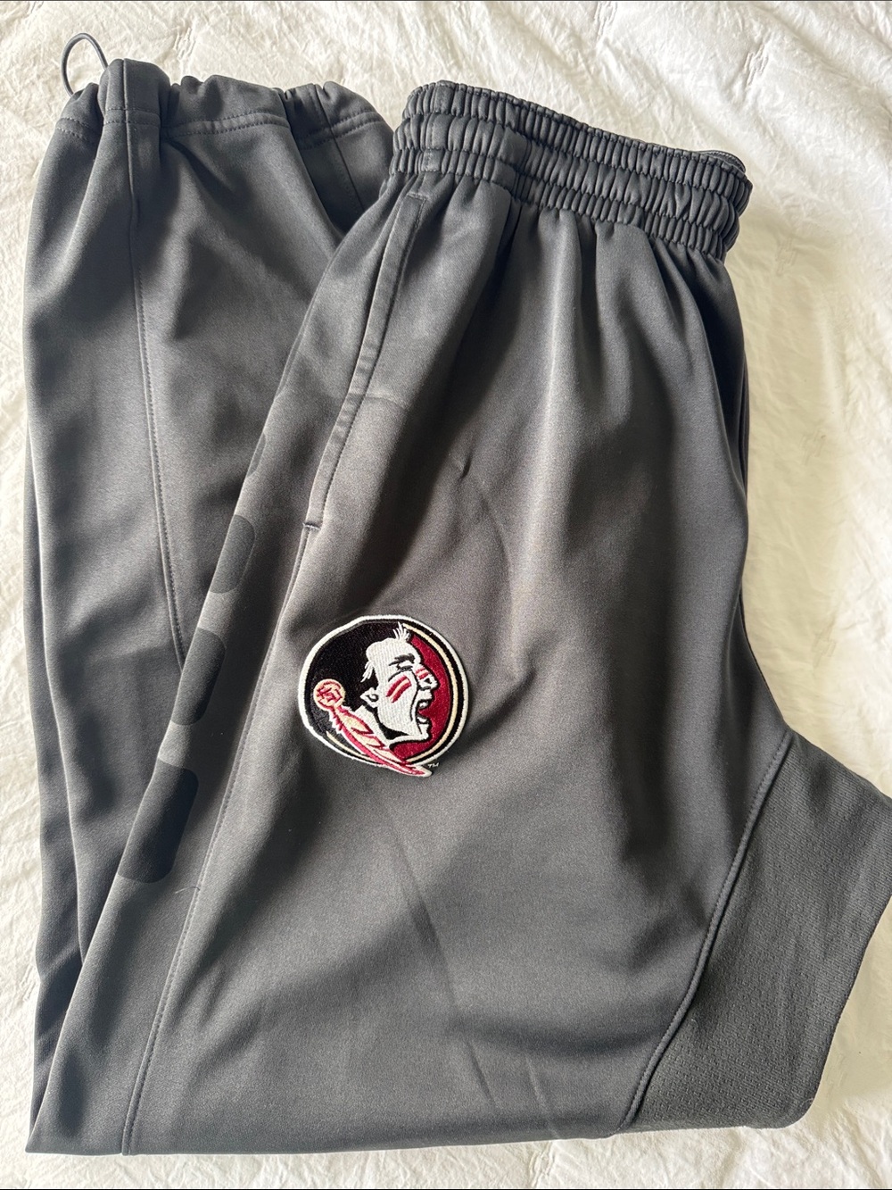 Nike Gray Sweatpants with Embroidered Seminole Patch